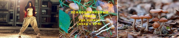 мдма Гусь-Хрустальный